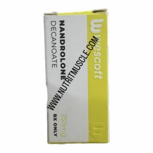 NANDROLONE DECANATE WESCOTT INYECTABLE