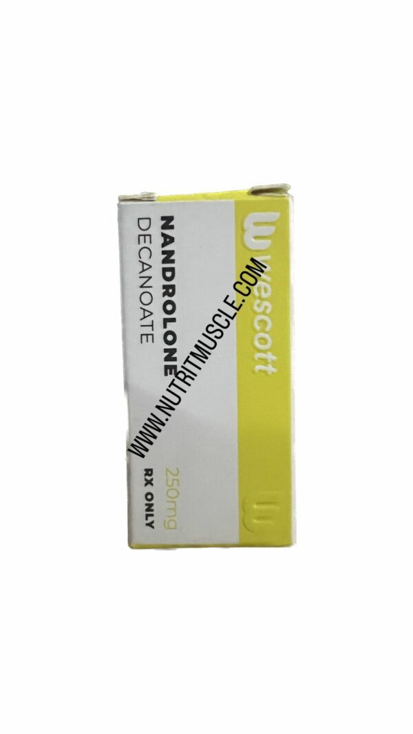 NANDROLONE DECANATE WESCOTT INYECTABLE