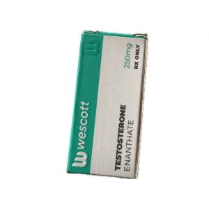 TESTOSTERONE ENANTHATO WESCOTT INYECCION